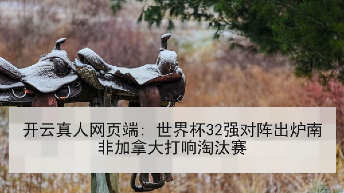 开云真人网页端: 世界杯32强对阵出炉南非加拿大打响淘汰赛
