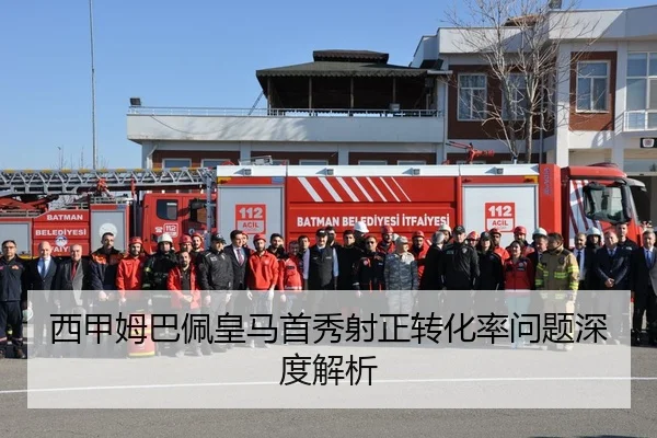 xi-jia-mu-ba-pei-huang-ma-shou-xiu-she-zheng-zhuan-hua-lv-wen-ti-shen-du-jie-xi-2-492.jpg