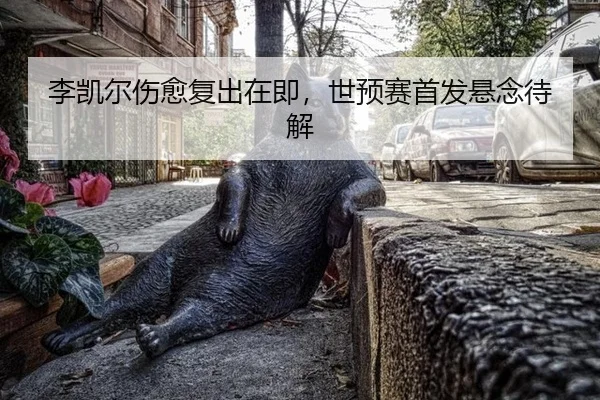 李凯尔伤愈复出在即，世预赛首发悬念待解